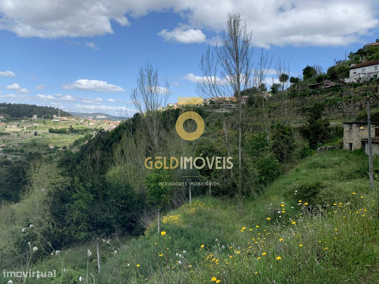 Terreno Rústico  Venda em Souselo,Cinfães - Grande imagem: 5/9