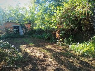 Quintinha com casa em pedra em São Pedro do Sul