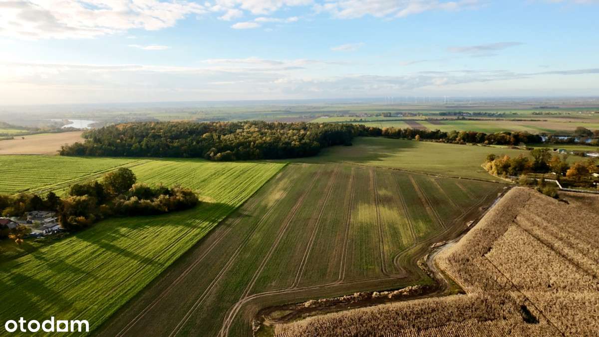 Działki W Malborku - Pełny obrazek: 5/7