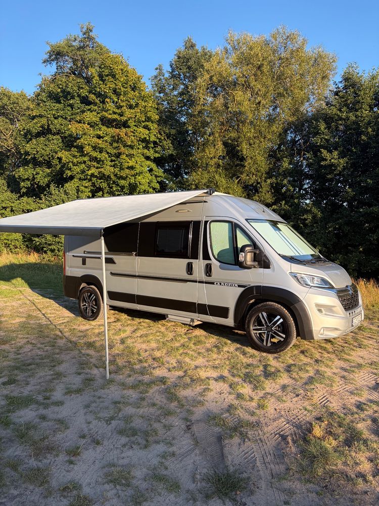 Fiat Adria 2019