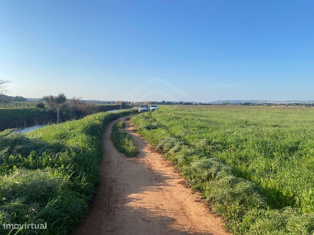 Terreno Rústico perto de Vilamoura, Algarve - Grande imagem: 2/19