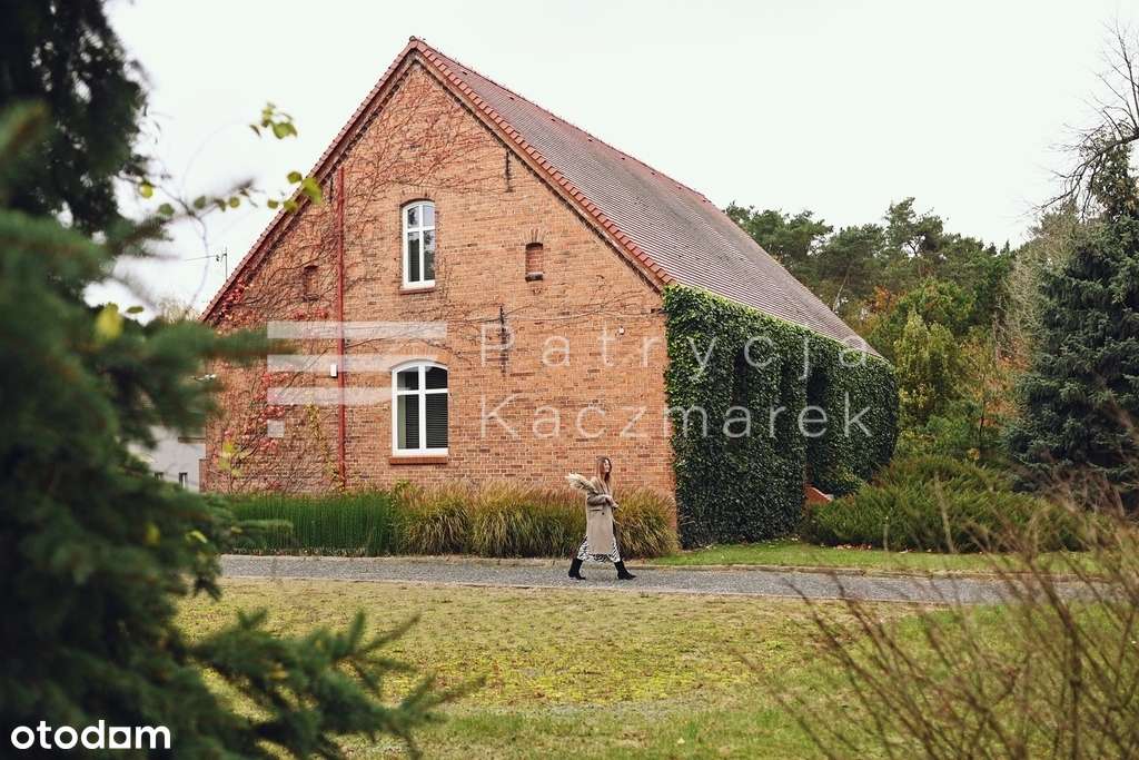 DWA DOMY - JEDNA DZIAŁKA. NIEPOWTARZALNY POTENCJAŁ - Pełny obrazek: 5/20