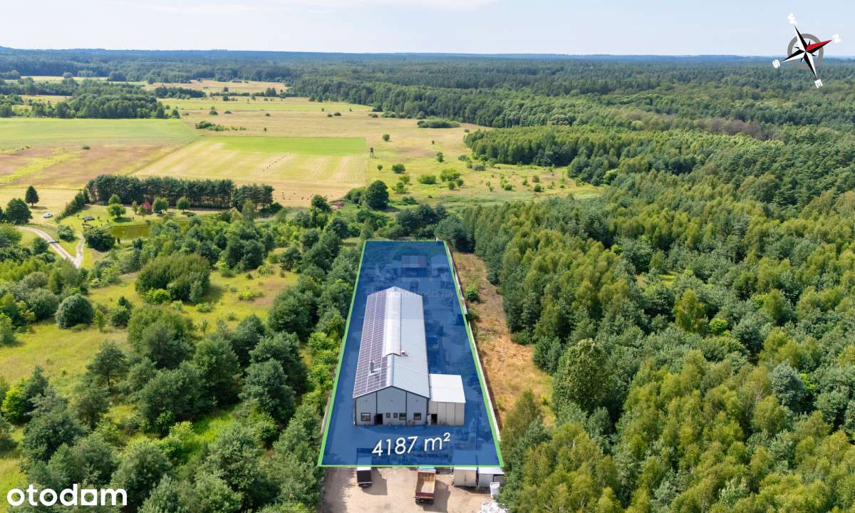 Hala na wynajem Wręczyca Mała - Pełny obrazek: 4/18