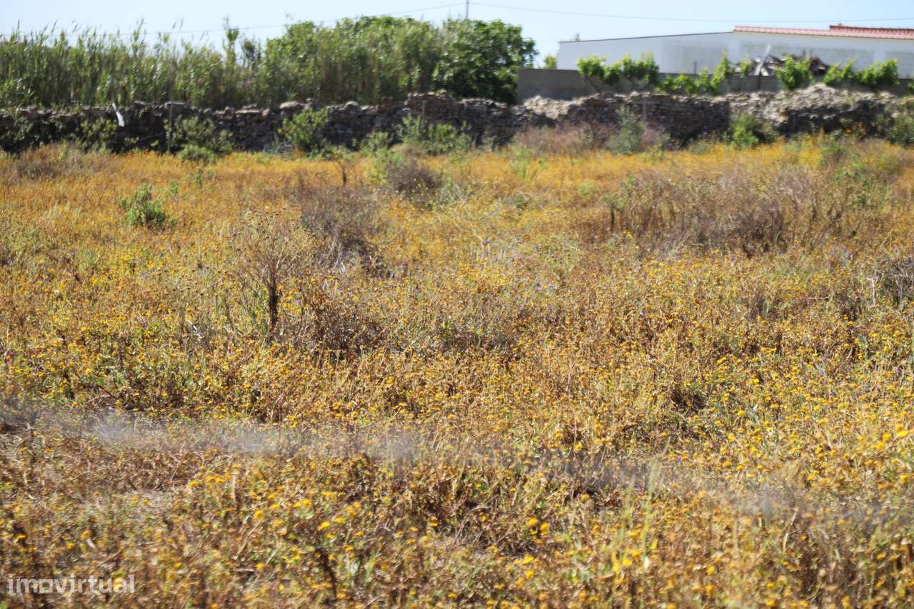 Terreno em solo URBANO - Grande imagem: 5/32