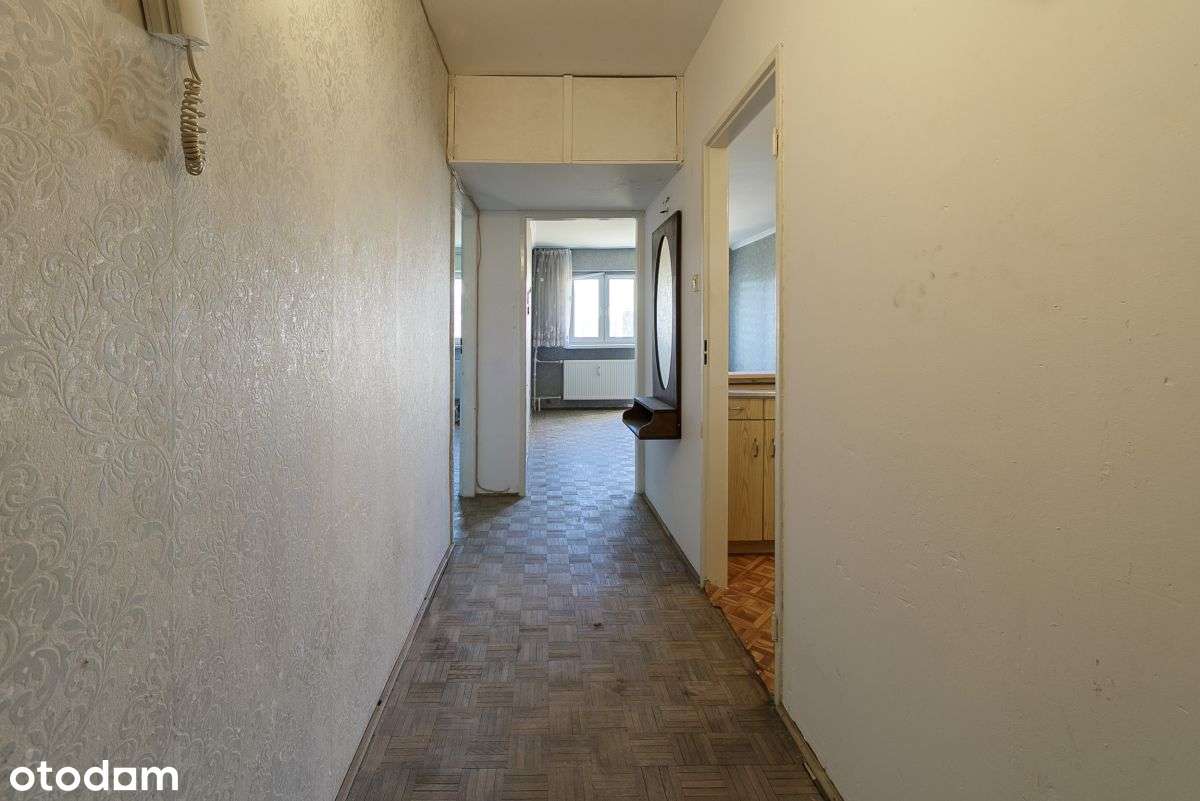 Potencjał, inwestycja, lokalizacja.-11