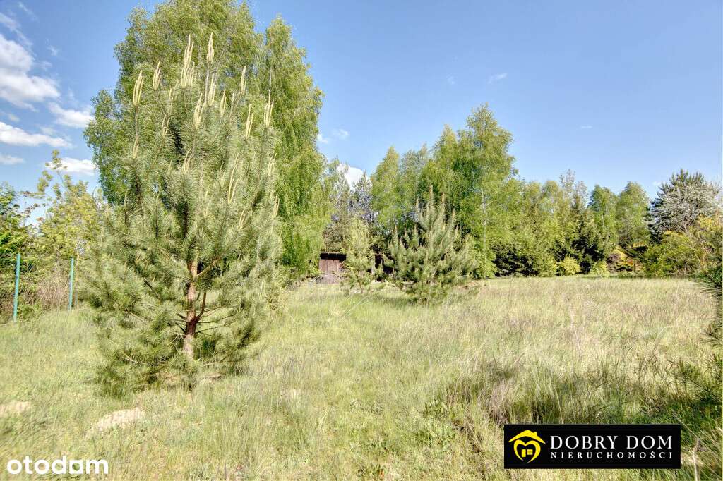 Działka budowlana Supraśl 1585 m² z mediami - Pełny obrazek: 5/13