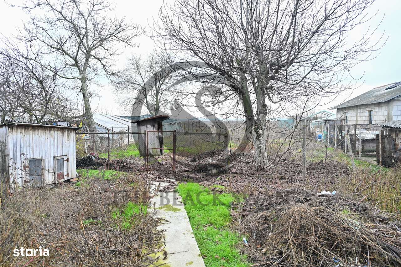 Casa de vanzare | 970 mp Teren | Puchenii Mari, Prahova | Comision 0% - Imagine principală: 3/15