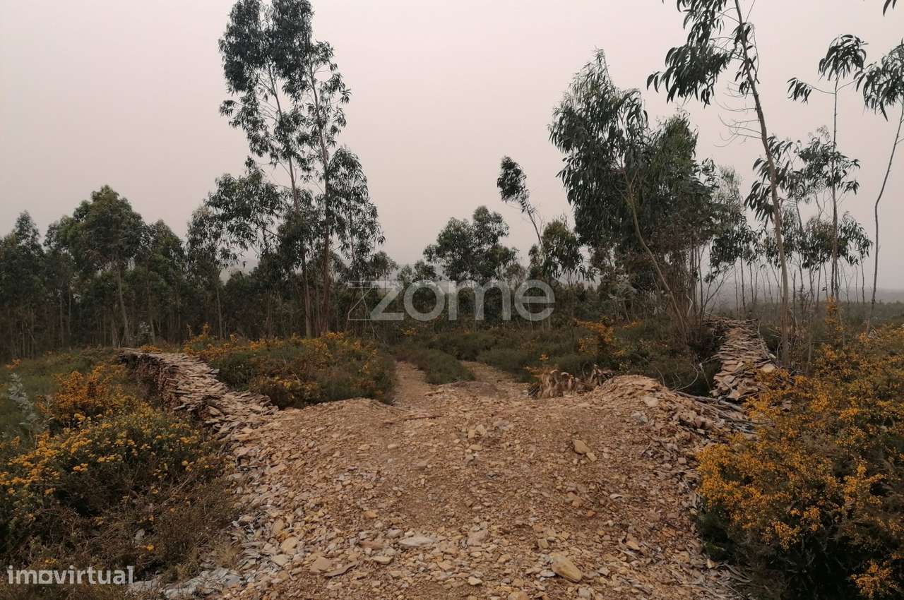 Terreno com 26.000 M2 em Ribeirão Vila nova de Famalicão - Grande imagem: 4/16