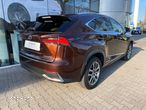 Lexus NX - 14