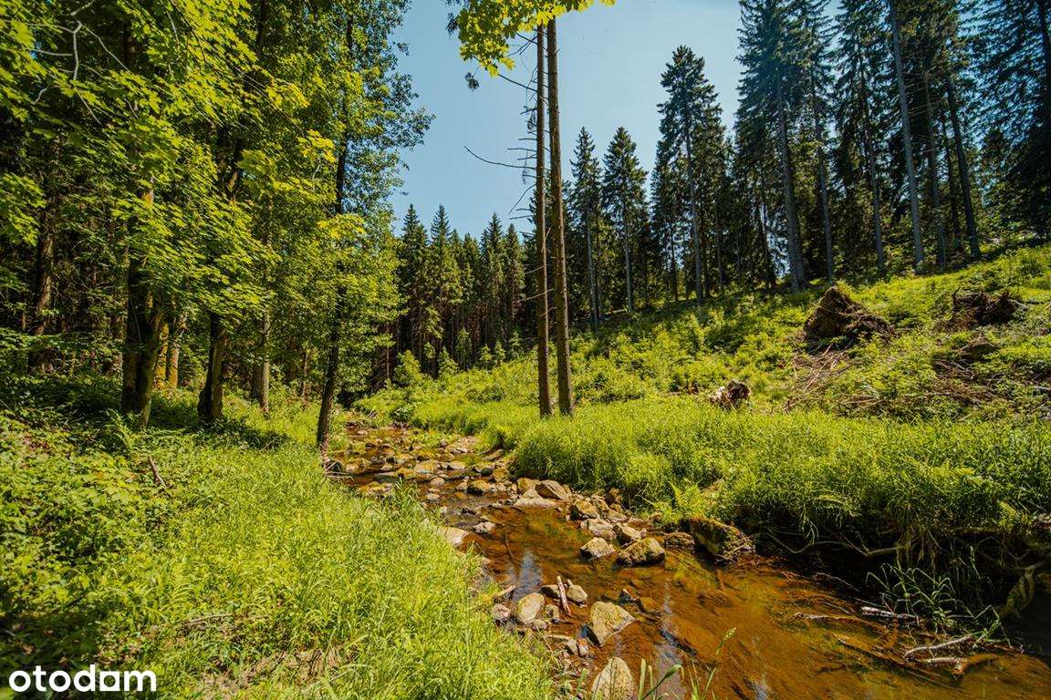 Wyjątkowa działka w Górach Stołowych przy potoku-13