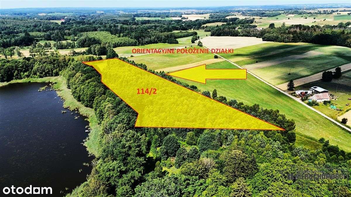 Duża działka siedliskowa nad Jeziorem Kiełpino - Pełny obrazek: 5/20