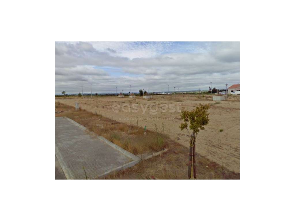 Novidade - Lote - Grande imagem: 1/1