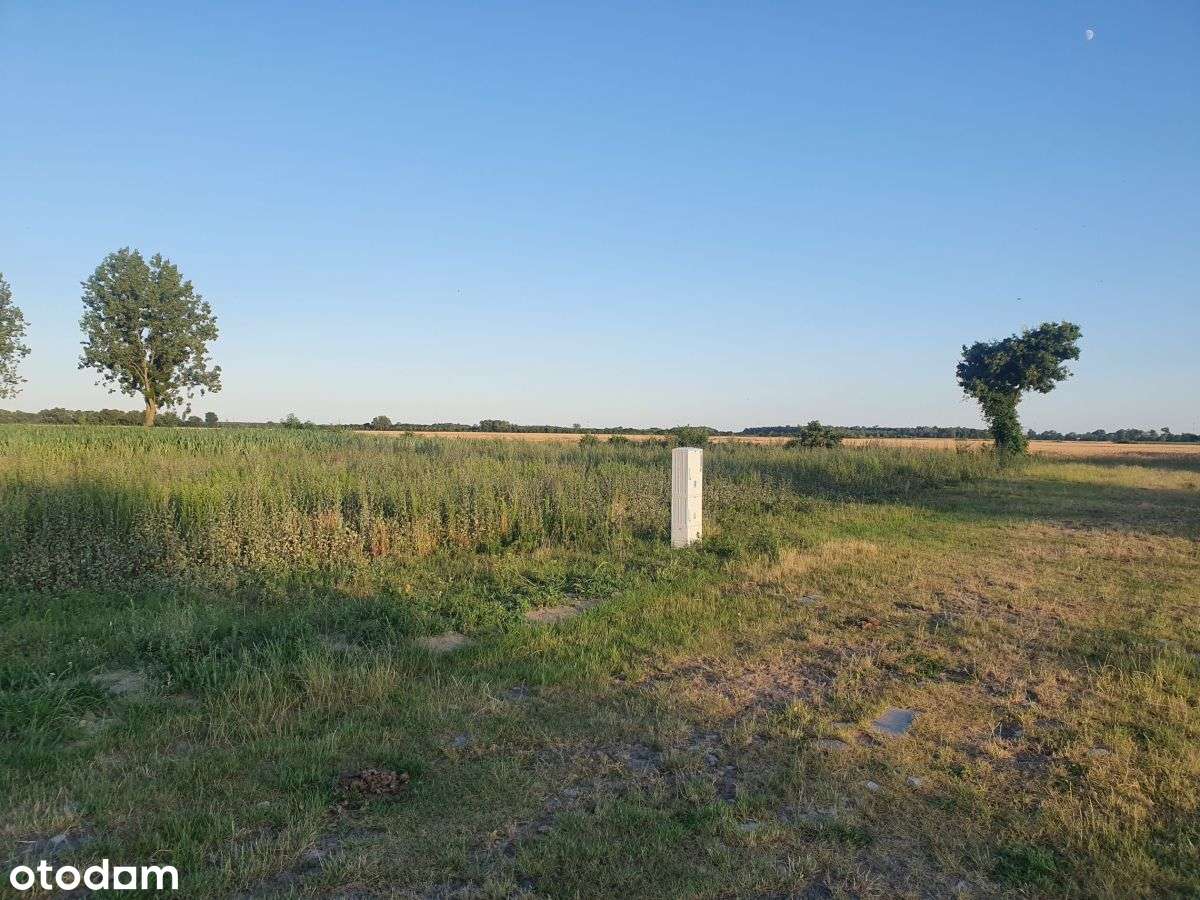 Goniczki k/Wrześni działka budowlana-4