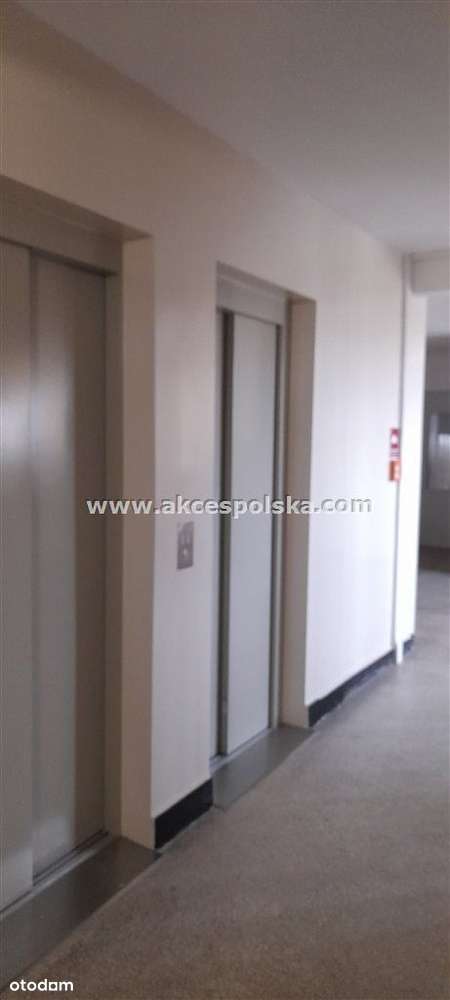 2 pokoje, rozkładowe, szybka komunikacja tramwajem-4