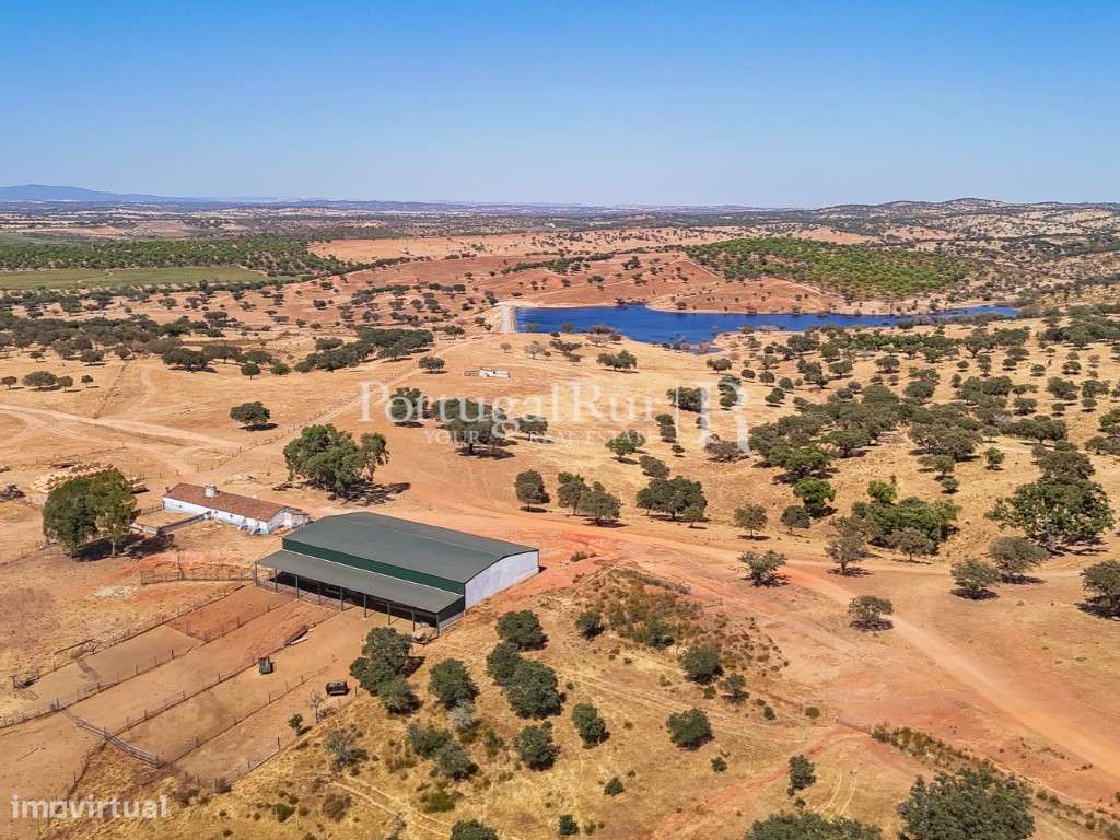 Herdade com 477 hectares no Alentejo - Grande imagem: 2/60