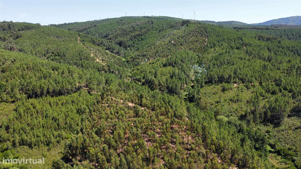 Terreno Rústico  Venda em Sarnadas de São Simão,Oleiros - Grande imagem: 4/11