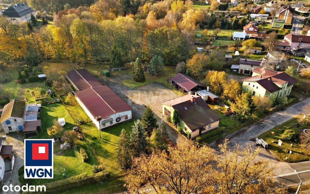 Dom, warsztat, hala mag., Barcino, działka 5000m2-15