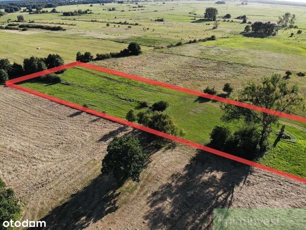 1,95 Ha W Żarnowie – Twoje Miejsce Blisko Natury-6