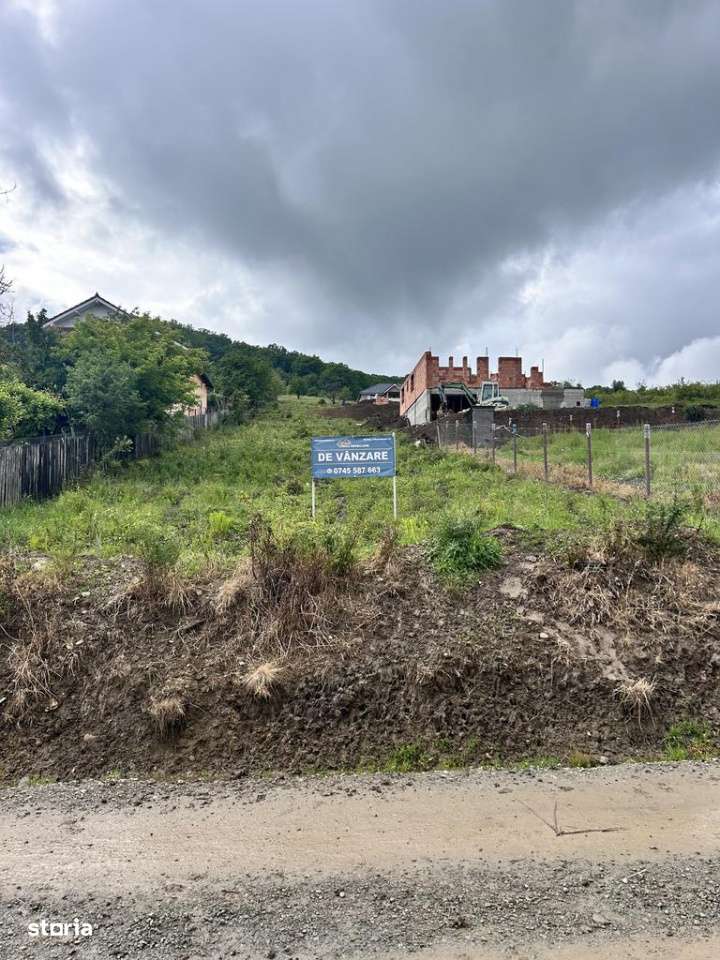 TEREN INTRAVILAN DE VANZARE  LA IESIREA DIN VIISOARA 2000 MP - Imagine principală: 1/3