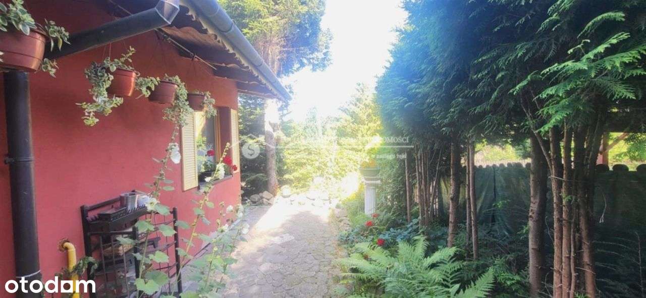 Parterowy dom z duszą w Jaworzu–przytulny, klimatyczny, blisko natury-7