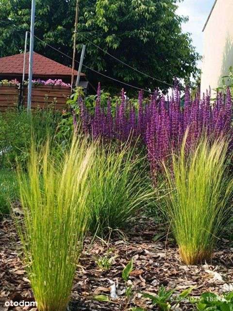 Okazja! Ogródek 400m2 i parking w cenie.-5