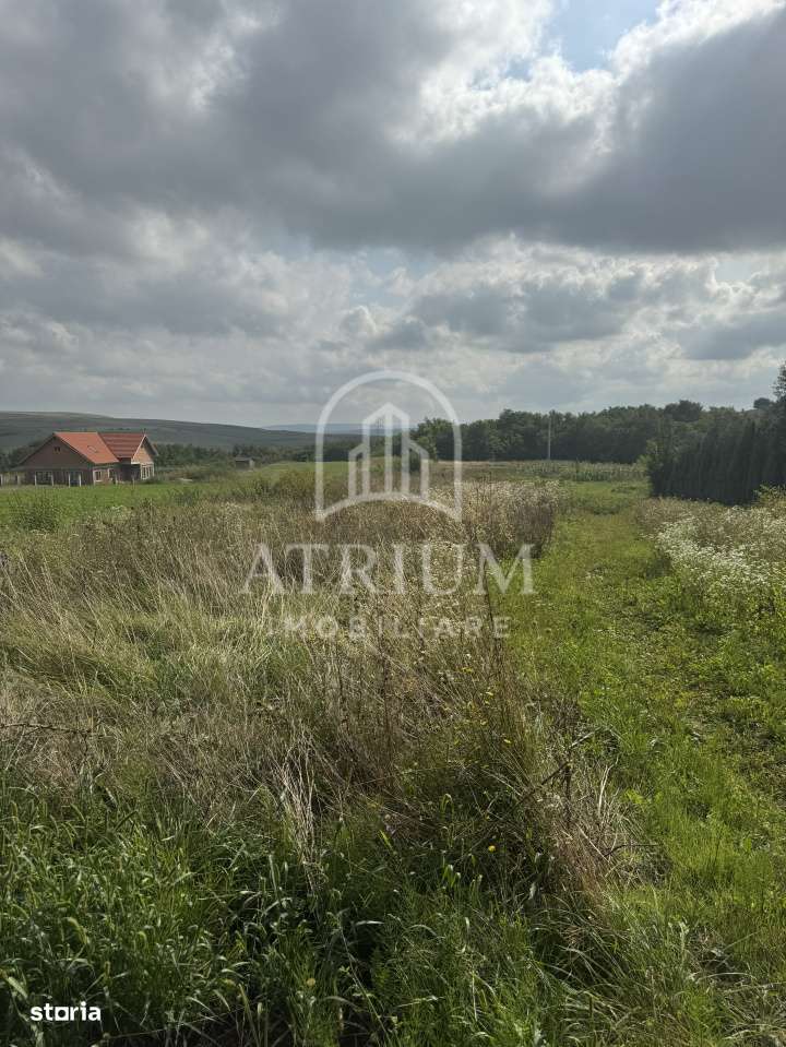 COMISION 0% Casa de vanzare 68 mp utili, 2527 mp utili de teren - Imagine principală: 4/4