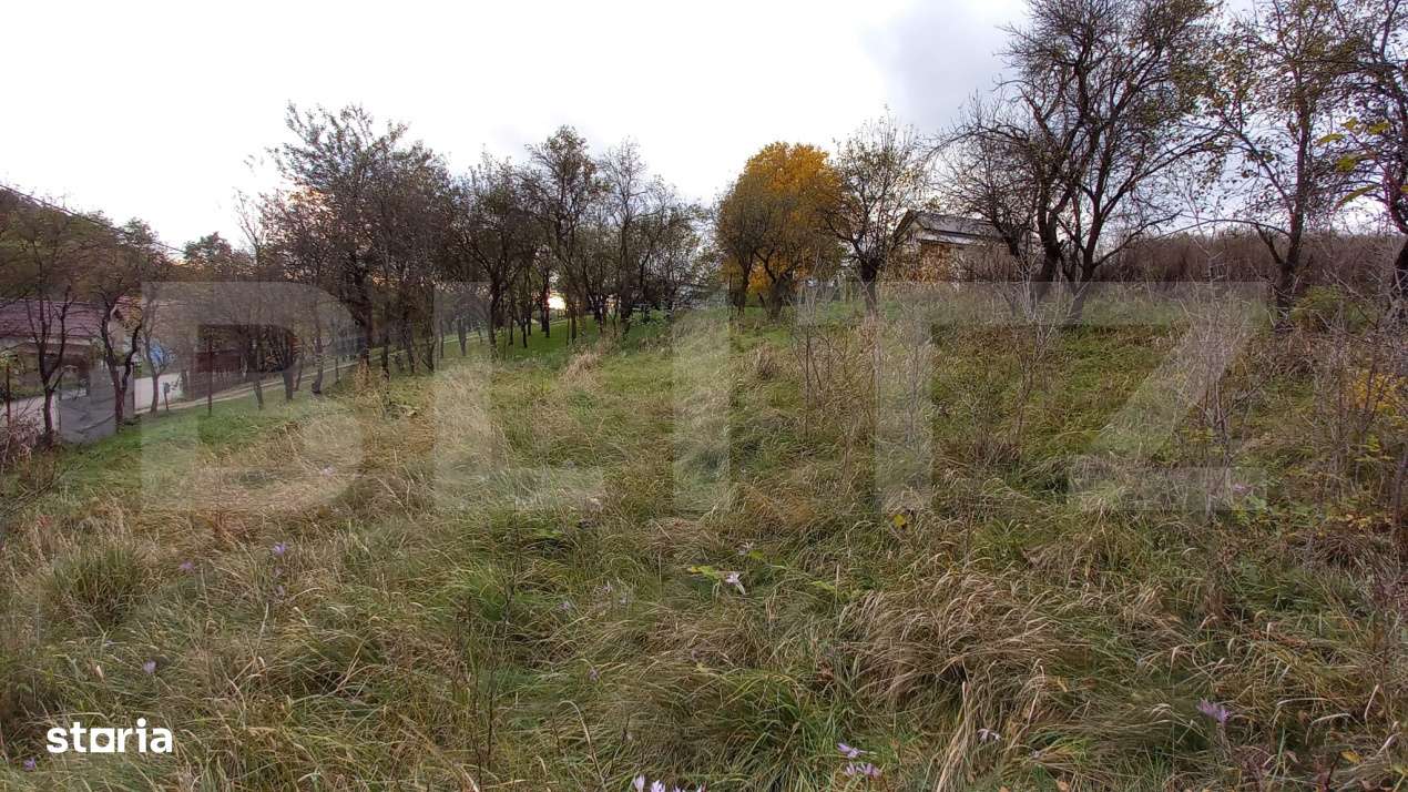 Investitie! Teren intravilan construibil 1651 mp, 25 m front, Filea-Ci - Imagine principală: 3/3