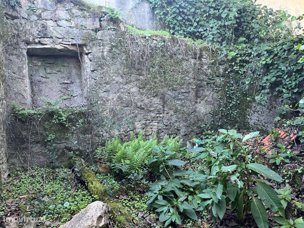 Casa rural para recuperação em Ansião-15