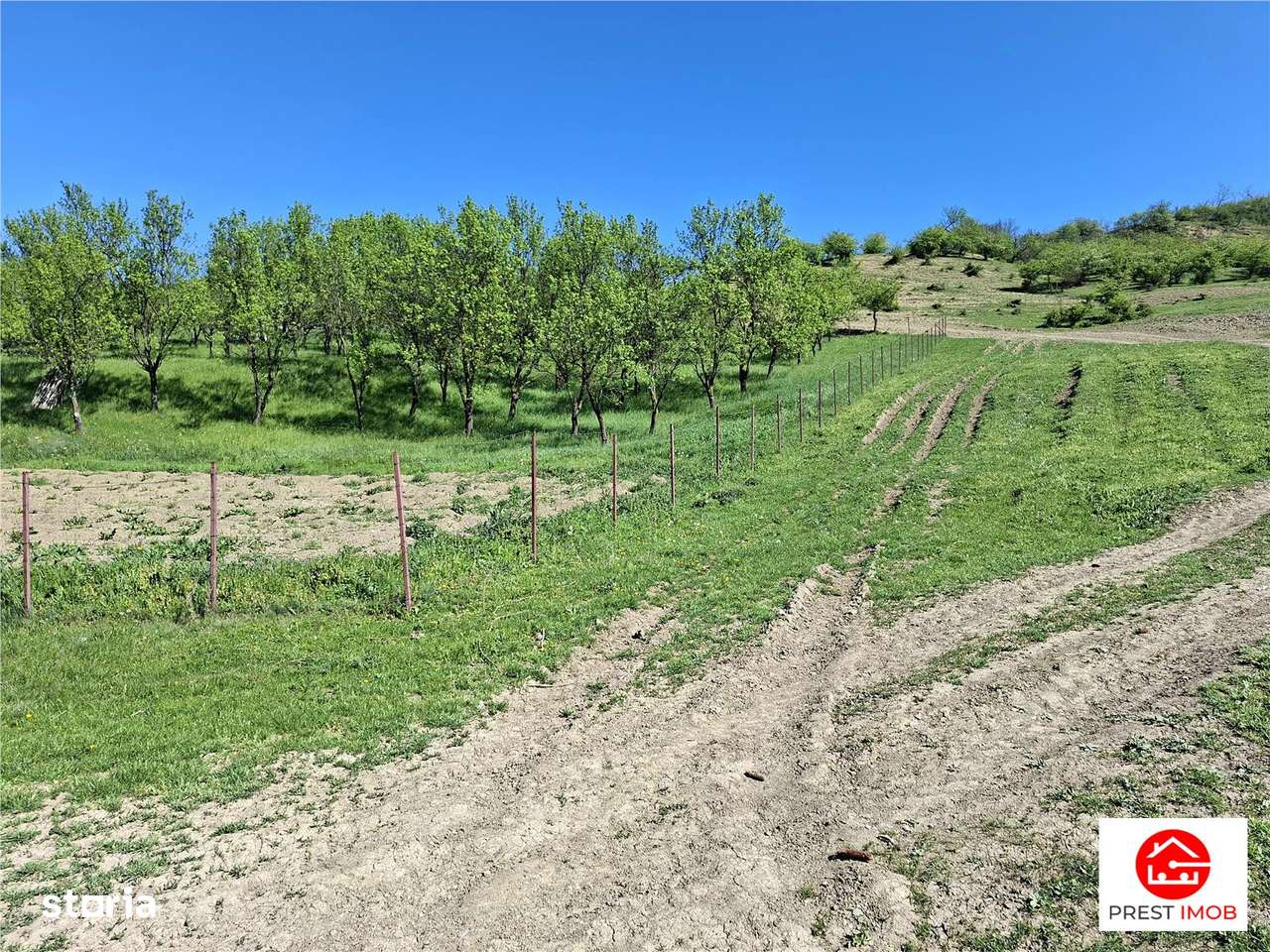 Teren Parcela 1900 mp intravilan Iclozel Iclod - Imagine principală: 5/9