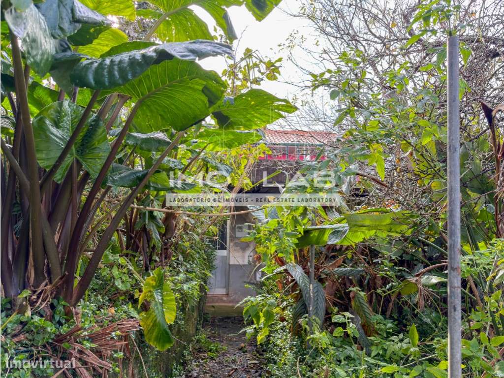 Moradia T2 - Santa - Porto Moniz-32