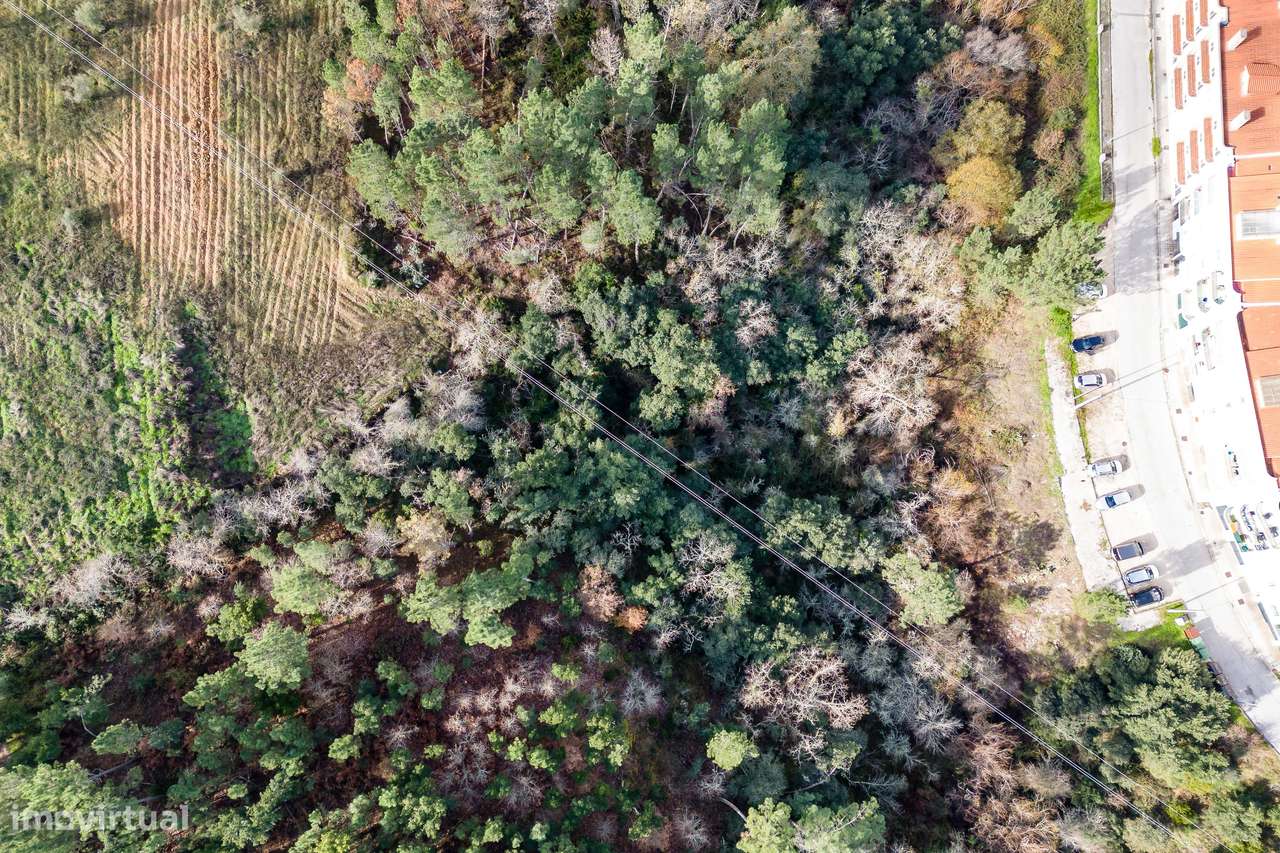 TERRENO RUSTICO | 1390M2 | CASAL DA HORTA | SERTÃ - Grande imagem: 2/33