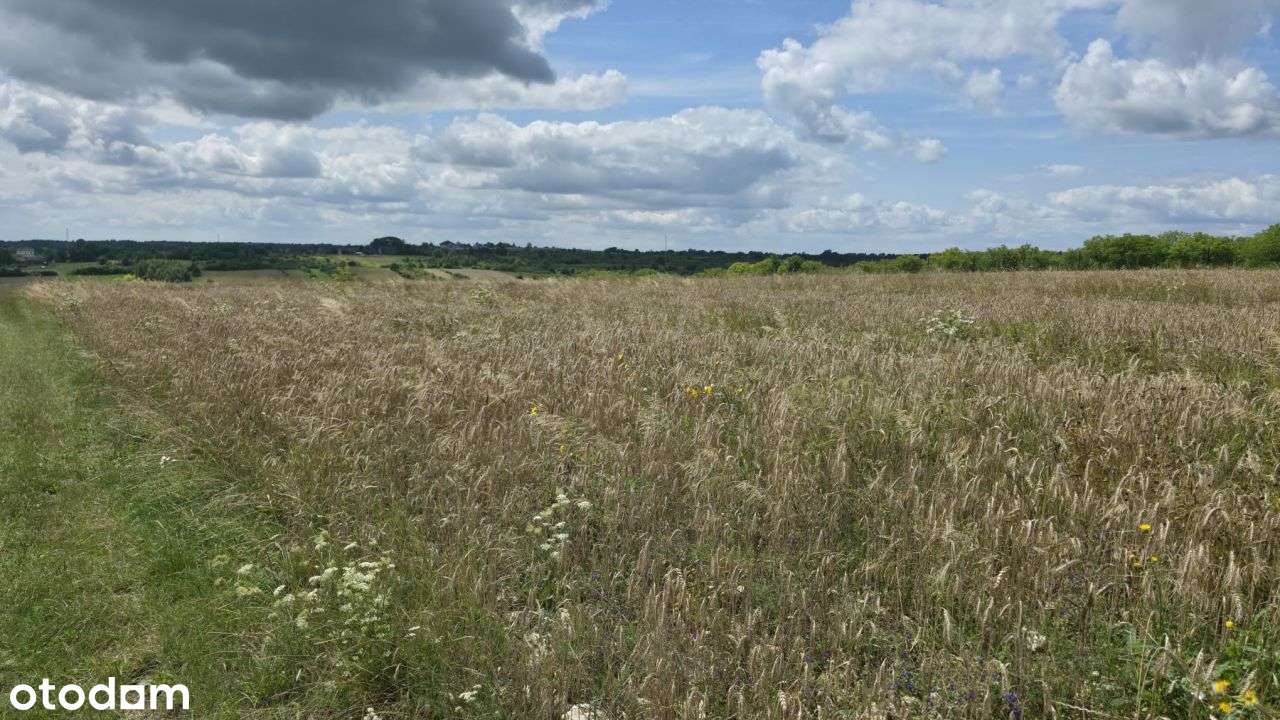 Piękne Widokowe Działki W Zielonej Okolicy! Mierzę - Pełny obrazek: 5/20
