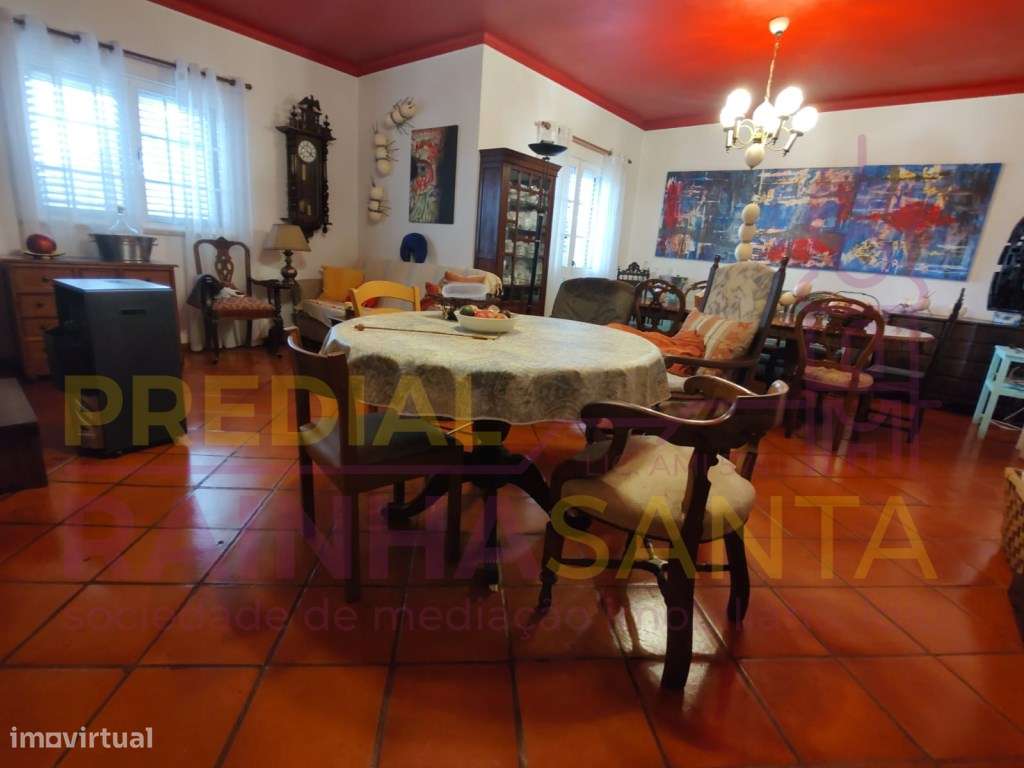 Quinta com moradia M5-Cartaxo-Santarem - Grande imagem: 2/22