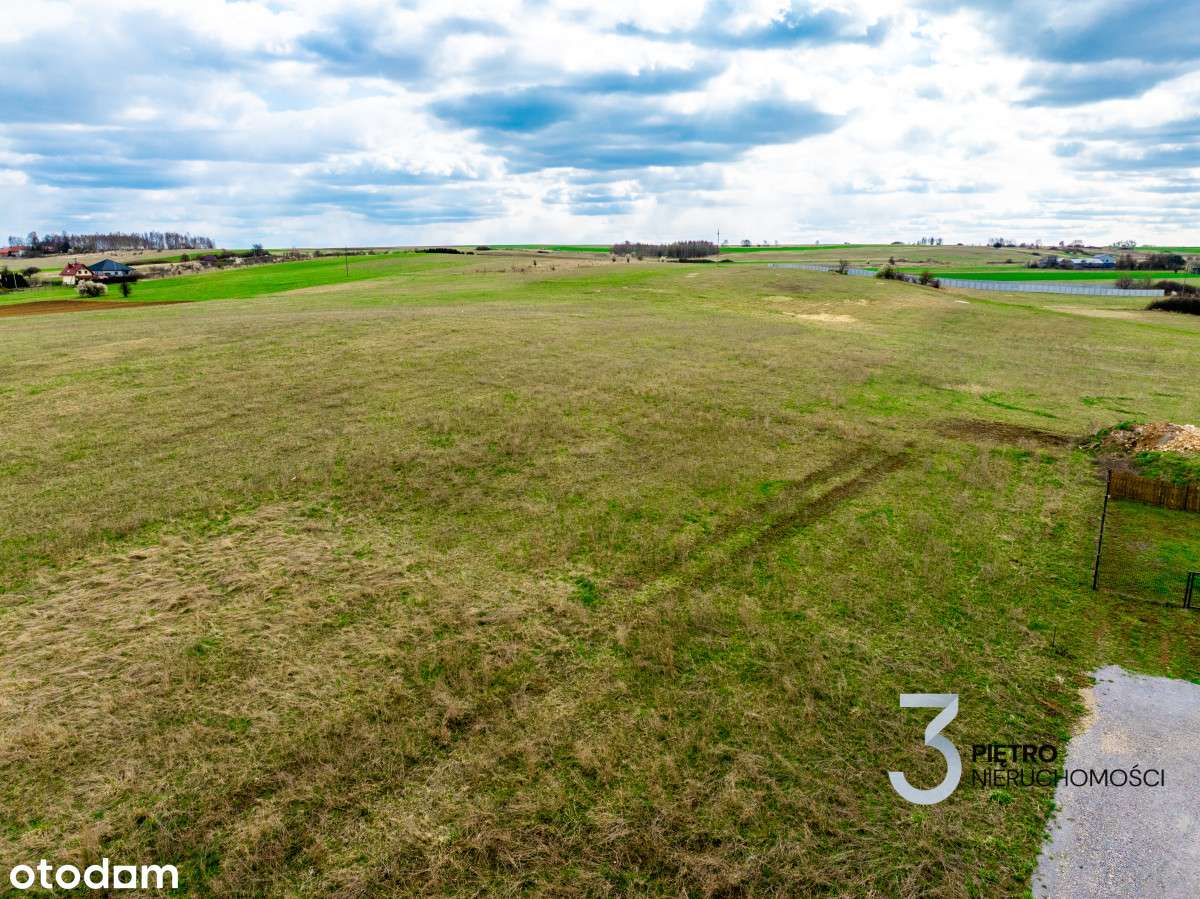 Okazja Cenowa! Urokliwa działka z widokiem na Jurę - Pełny obrazek: 5/9