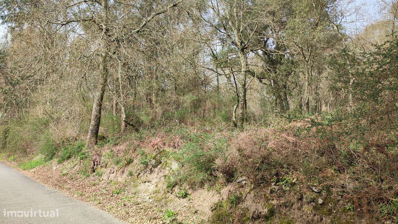 Terreno em Turiz, Vila Verde-14