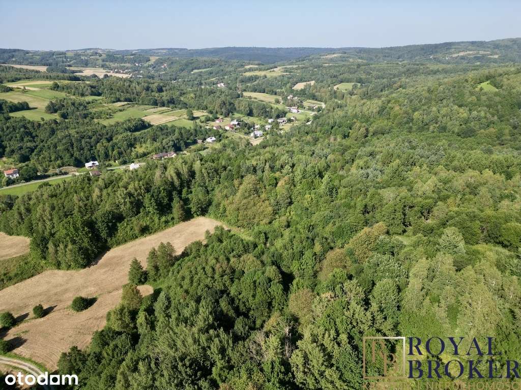 Działka pod dom lub domek letniskowy – 1,25 ha - Pełny obrazek: 5/7