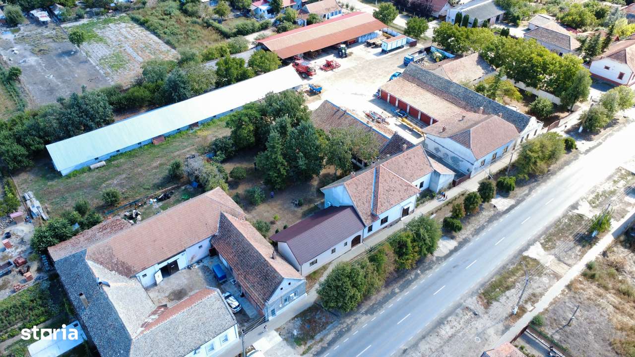 Cenad-Casa/Spatii Birouri- 150mp-teren 1065mp-13