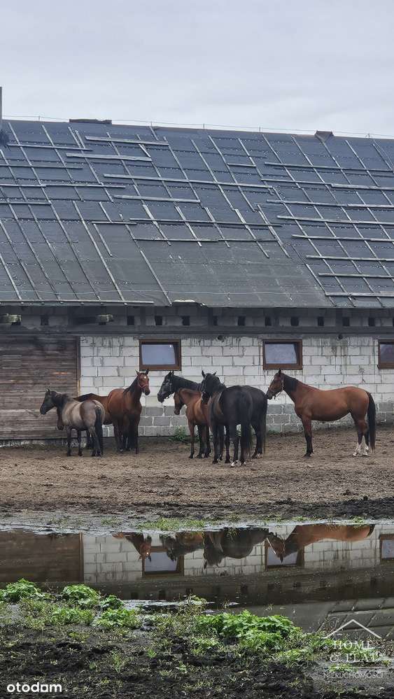 Działka Budowlana blisko morza-14