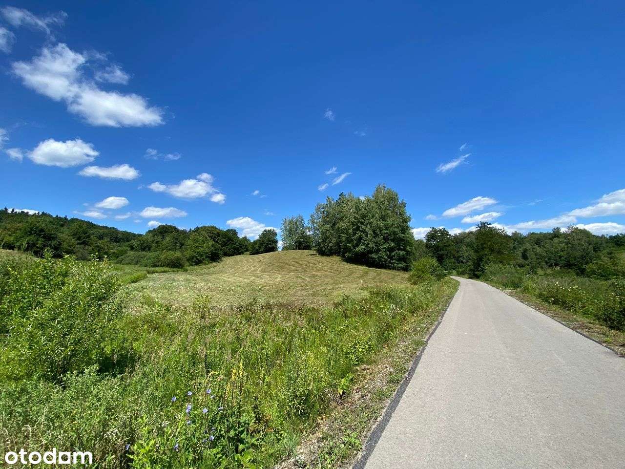 Działka z WZ 61 ar Uherce Mineralne Bieszczady - Pełny obrazek: 5/9