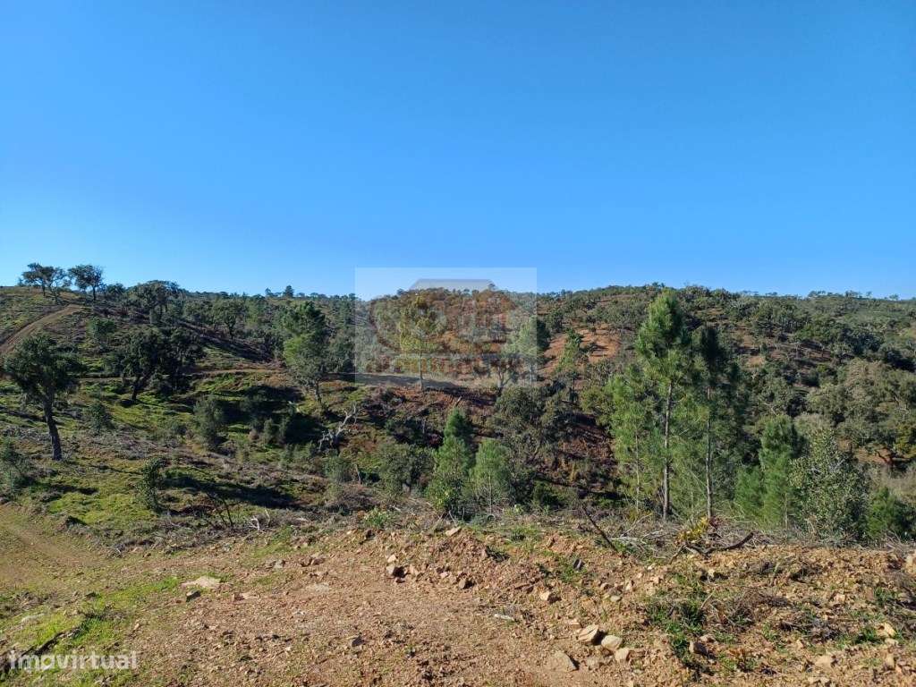 Terreno com 14,5ha para Turismo a 10 km de Melides! - Grande imagem: 4/9