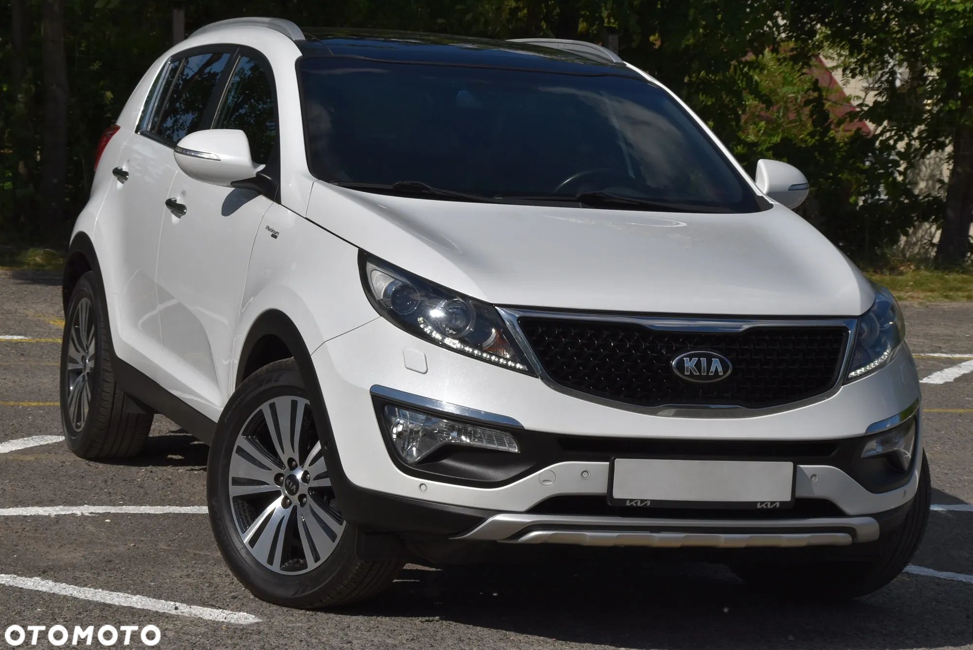 Kia Sportage - 1