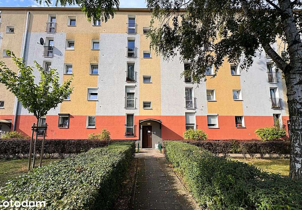 3 pokoje | 53,5 m² | Grunwald | ul. Swoboda | 619-5