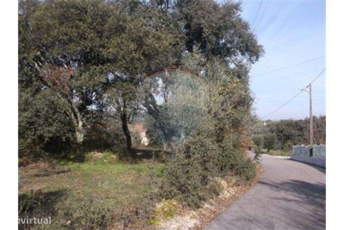 Terreno para construção - Grande imagem: 3/4