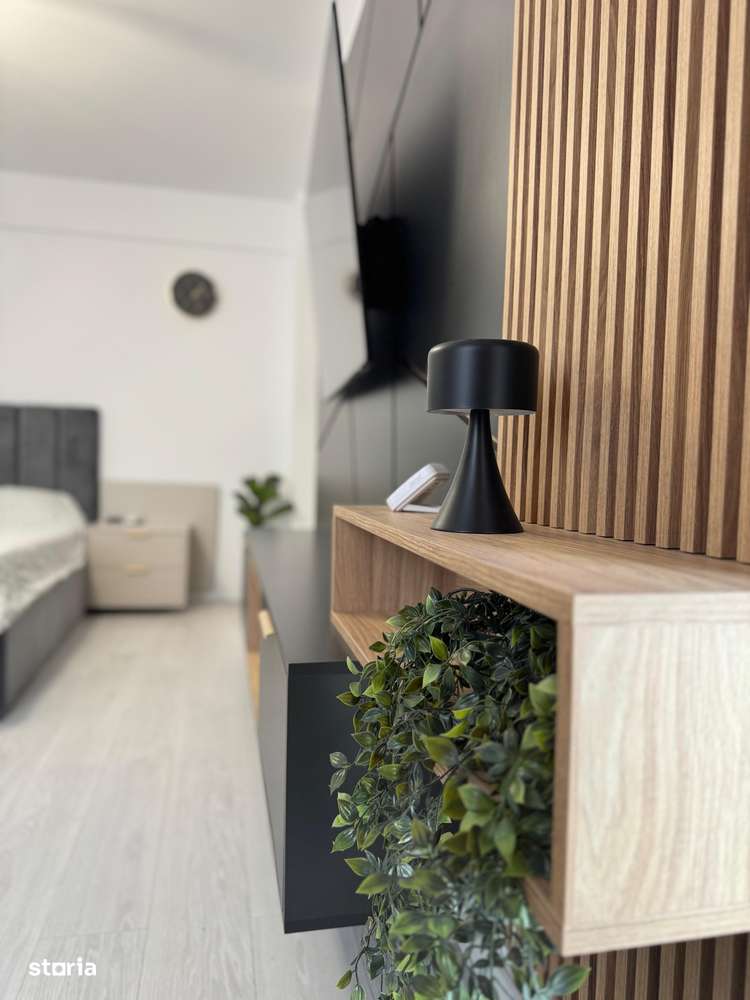 Apartament modern cu 1 camera Visan - Imagine principală: 3/8