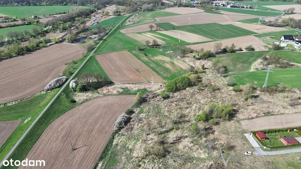 Działka inwestycyjna | 9232 m² | Kędzierzyn-Koźle - Pełny obrazek: 2/3