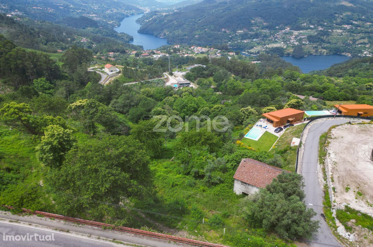 Terreno com 31 710m² de área total situado em Ventosa, Vieira do Mi...