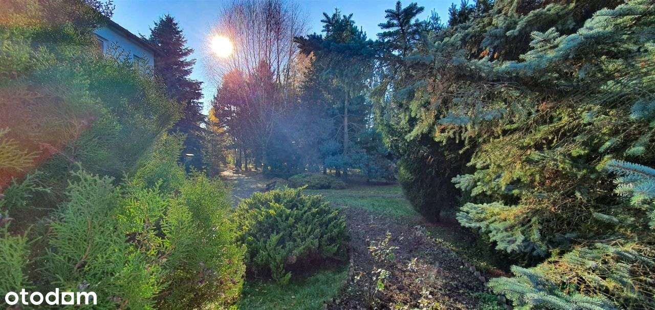 Wielofunkcyjny obiekt z pięknym ogrodem w Lublinie-2