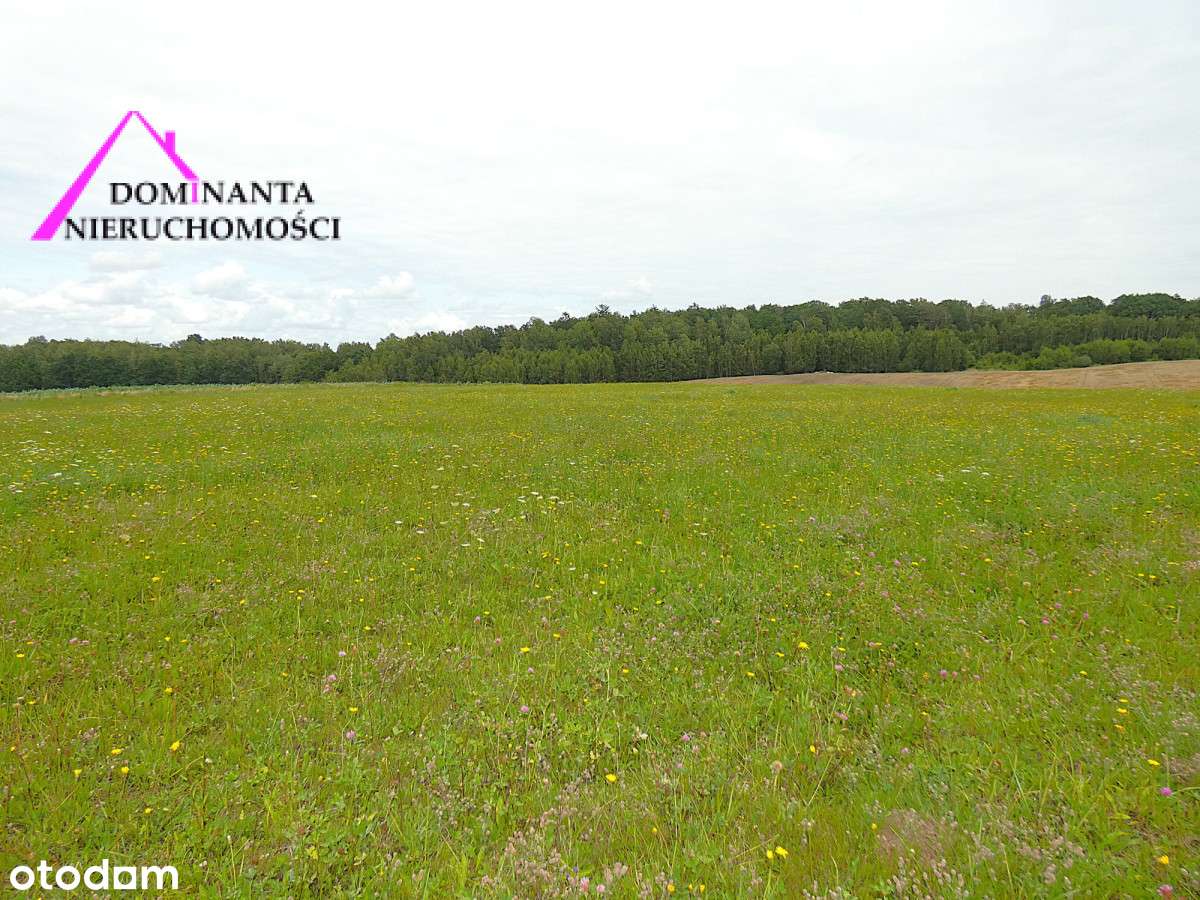 Działki rolne blisko lasu na Mazurach, 10 ha.-8