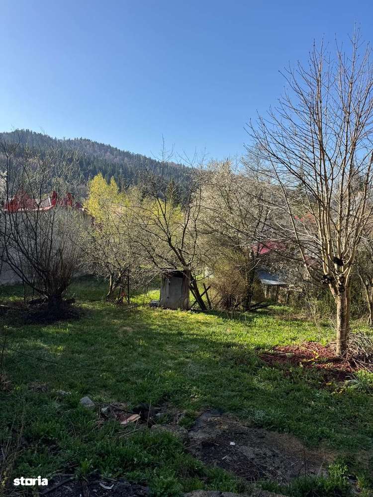 Teren Predeal Central - Imagine principală: 2/4