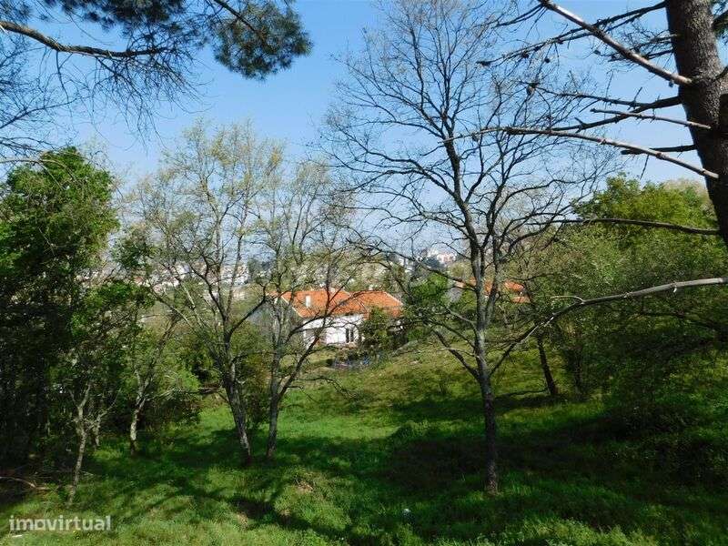 Lote / Seia, Seia - Grande imagem: 4/5